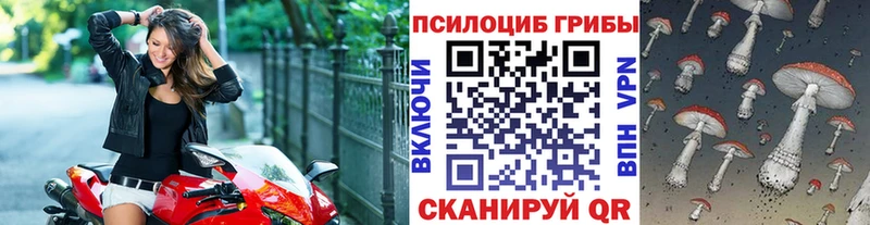 Псилоцибиновые грибы Magic Shrooms  закладка  Великий Устюг 