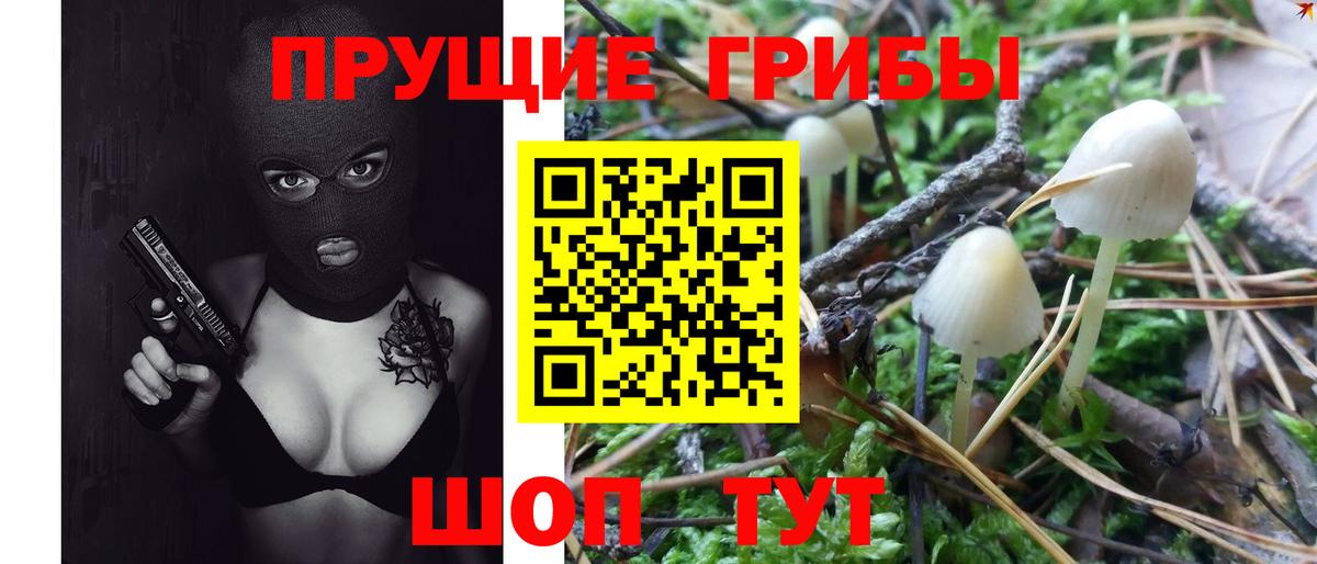 Псилоцибиновые грибы Magic Shrooms Великий Устюг