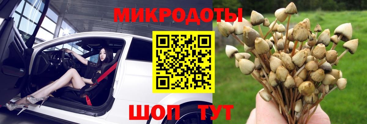 Галлюциногенные грибы Psilocybe  Псилоцибиновые грибы Cubensis  Великий Устюг  Вход с VPN 